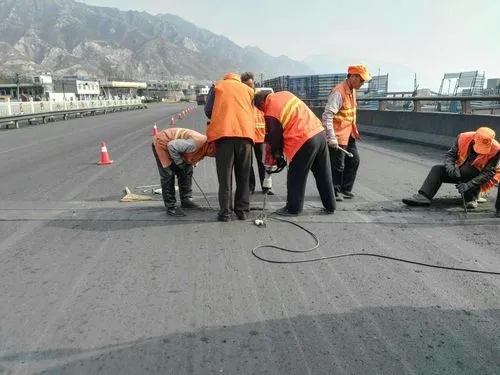 鲁甸道路桥梁病害治理